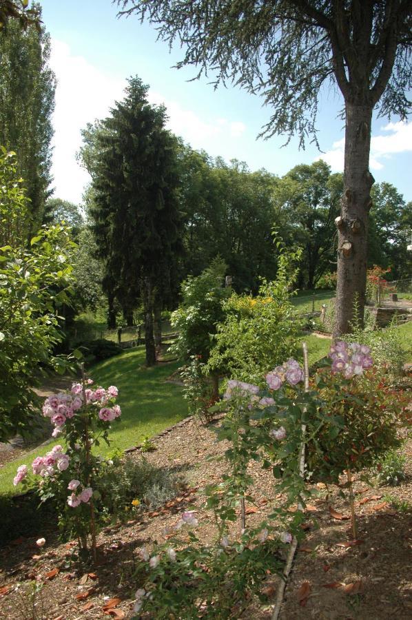 Bed and Breakfast La demeure aux Pins à Lourdes Extérieur photo