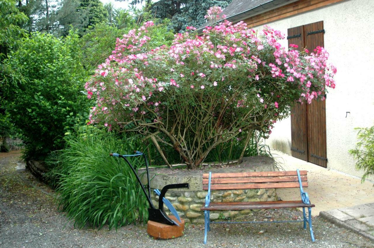 Bed and Breakfast La demeure aux Pins à Lourdes Extérieur photo